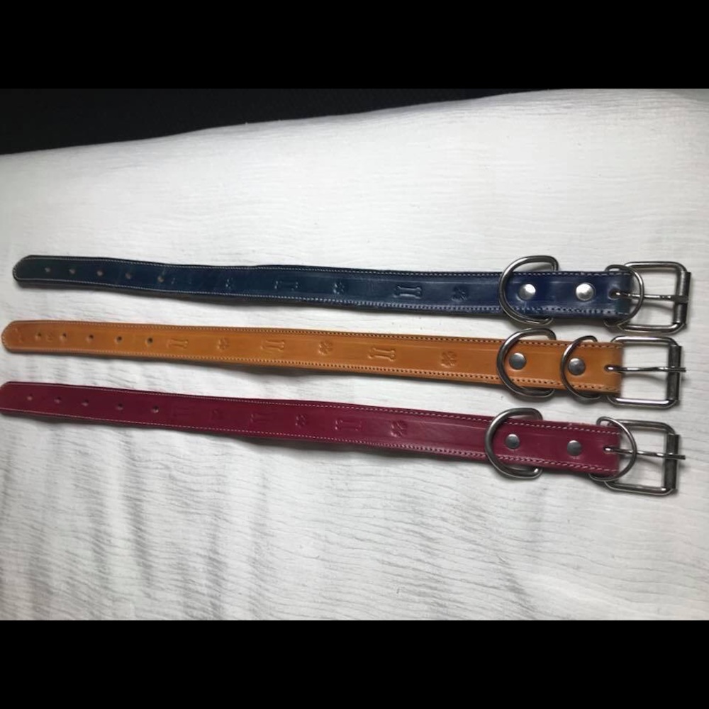 Dog collars - Picture 8 of 8